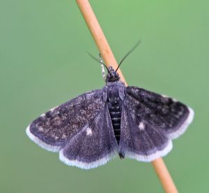 160723-33-copy.jpg