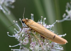 160731-32-copy.jpg