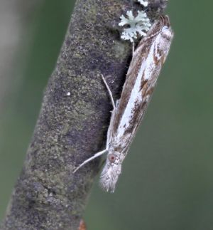 160821-29-copy.jpg