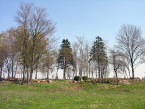 Buknaiciai1, MKE.JPG