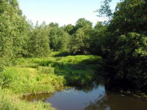 Dabikine.2010-08-10.jpg