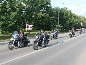 Juodvarniai1.MKE.2011-07-13.jpg
