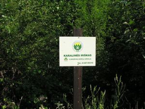 Karalines miskas.MKE.2011-08-02.jpg