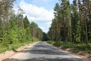 Kelias i Kuslenus.MKE.2010-07-05.jpg