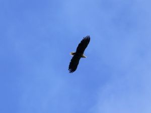 P1460984-JurinisErelis.MKE.jpg