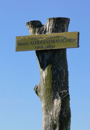 P1580828-JuozasAleksandravicius.MKE.jpg