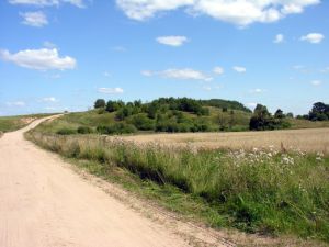 Pakvistis.MKE.2009-08-09.jpg