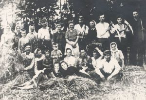 Pirmasis kolukio derlius nuimtas.jpg
