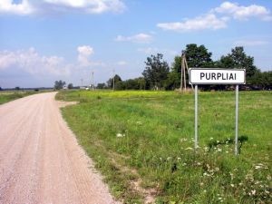 Purpliai.MKE.2007-08-13.jpg