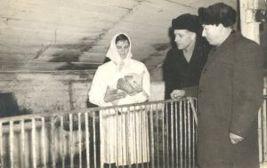 Purpliu fermoje.MKE.jpg