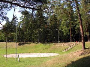 Tirksliu pusynas.MKE.2008-07-30.jpg
