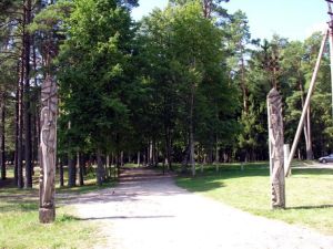 Tirksliu pusynas1.MKE.2008-07-30.jpg